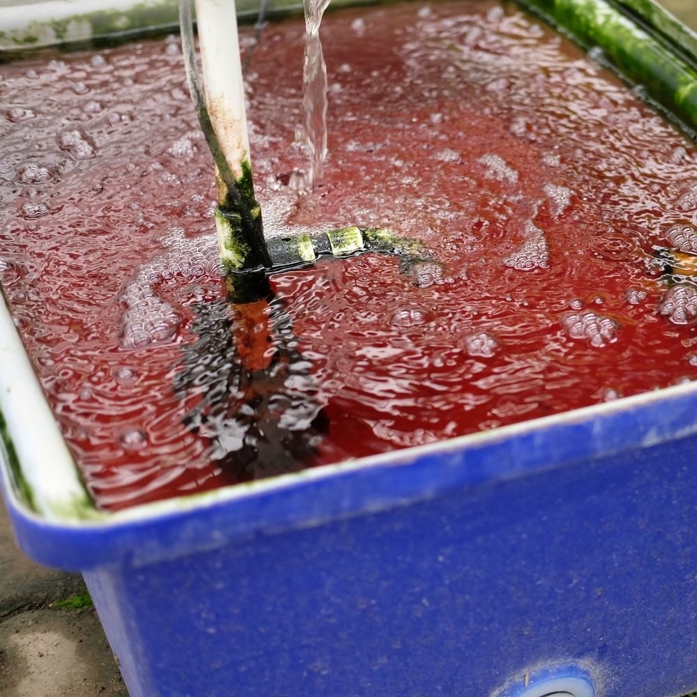 Nguyên lý hoạt động của Aquaponics